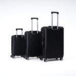 Raven Noir Voyage Luggage Set